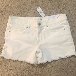 NWT- Ann Taylor Loft Jean shorts